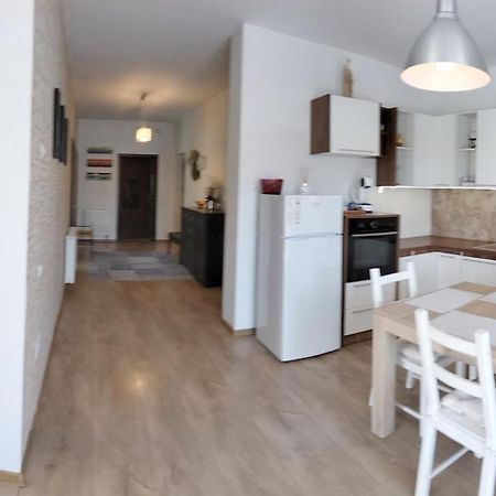 Apartmán Apartament De Lux Cu Terasa Temešvár Exteriér fotografie