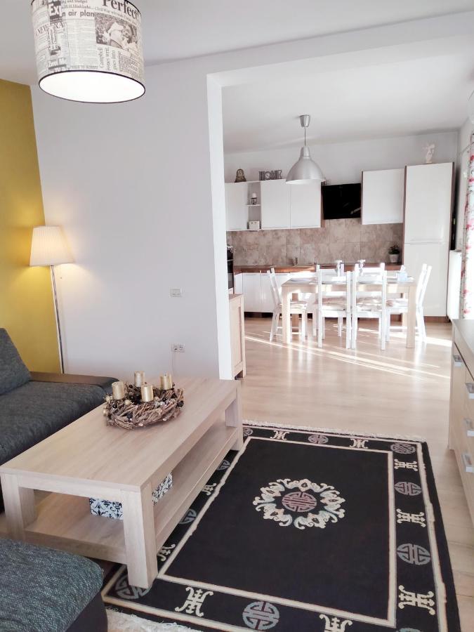 Apartmán Apartament De Lux Cu Terasa Temešvár Exteriér fotografie